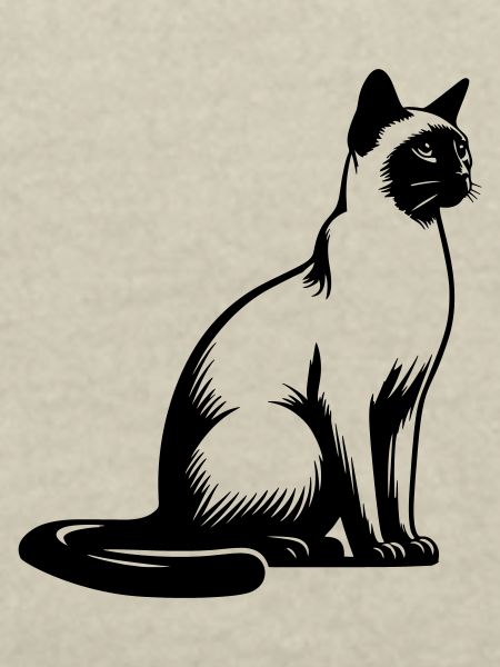 Siamkatze