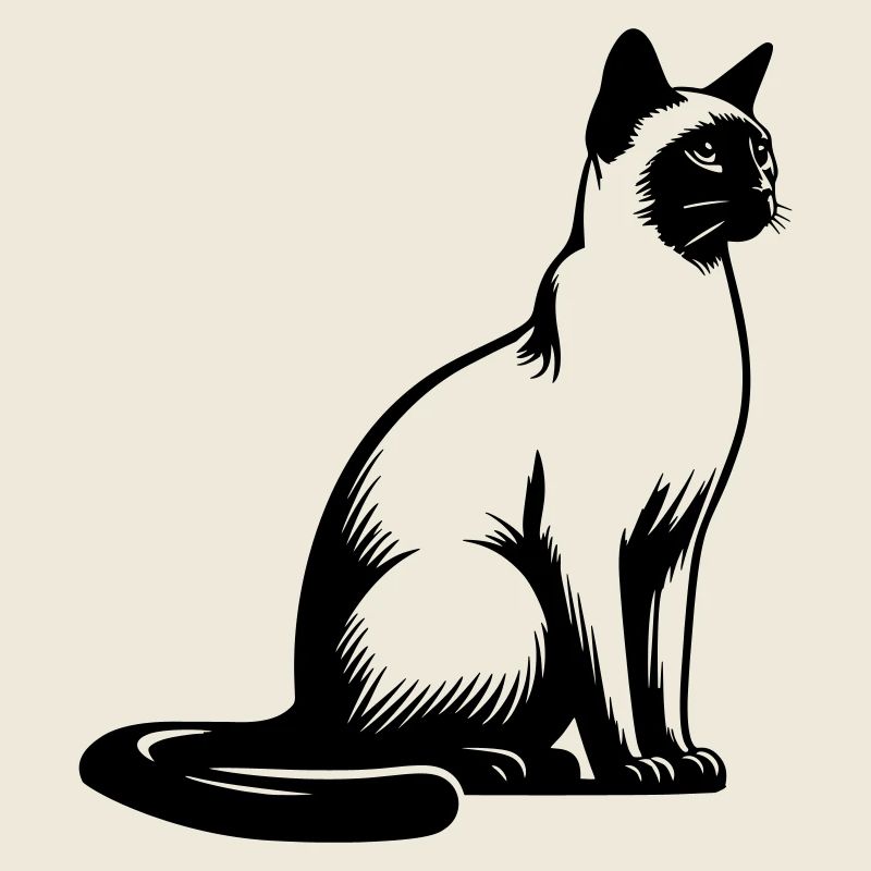 Chat siamois