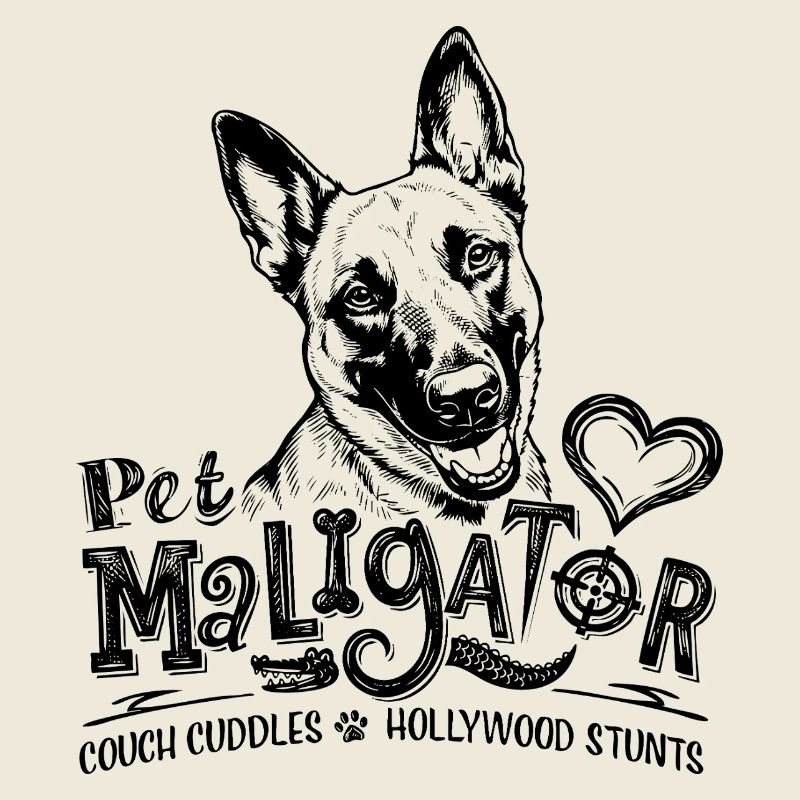 Malinois belge - Maligator de compagnie