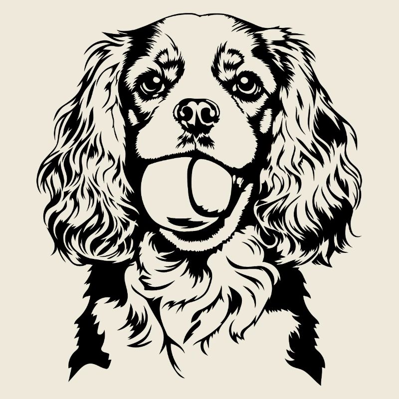 Cavalier King Charles Spaniel Ball Dogs Wilsigns