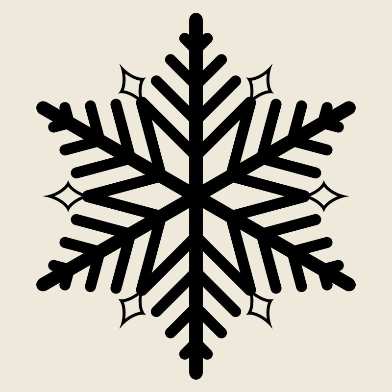 Flocon de neige flocon de neige