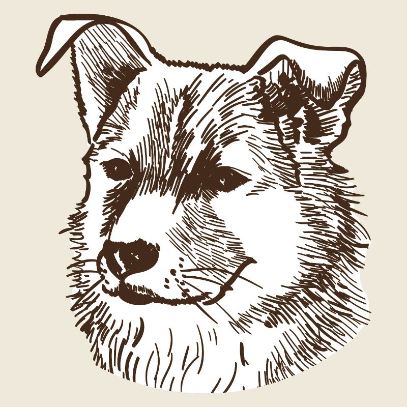 Chien
