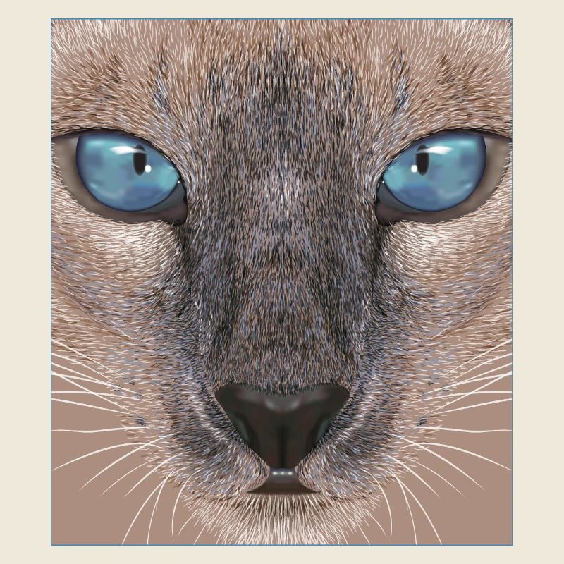 Siamese cat