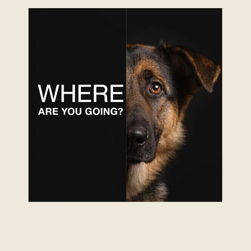 Where Are You Going Schäferhund Spruch Traurig