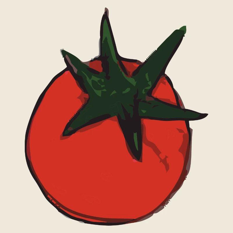 tomate tomatoe