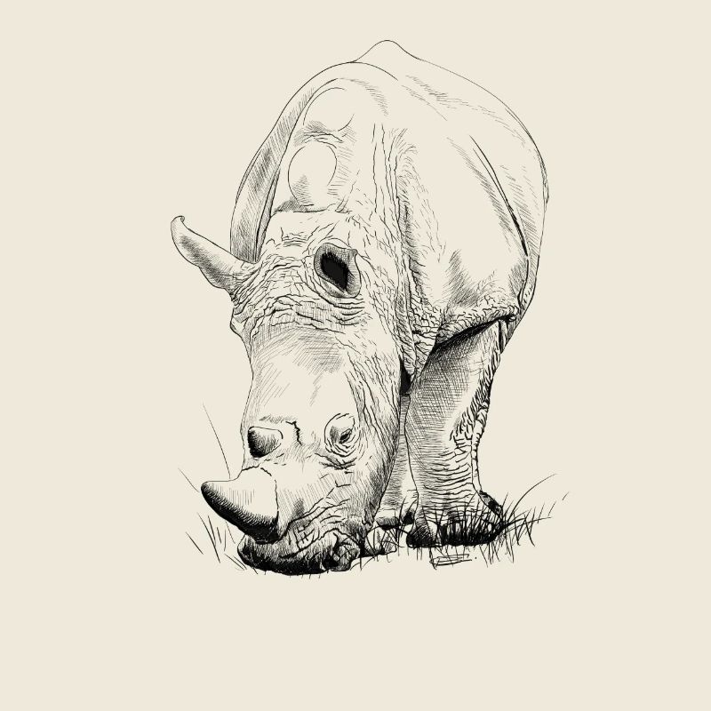 Rhino