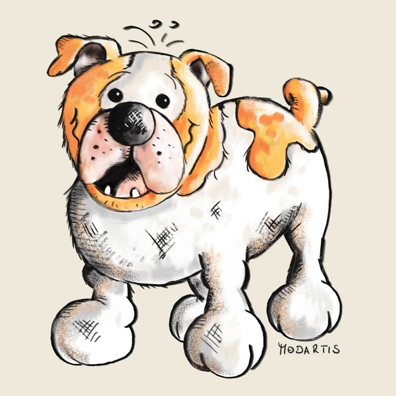 Bulldog anglais