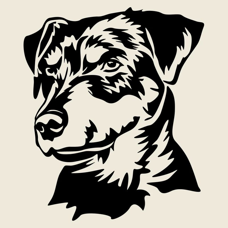 Deutscher Jagdterrier Kopf