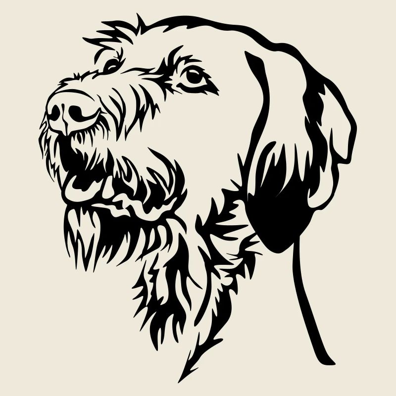 Magyar Vizsla Kopf