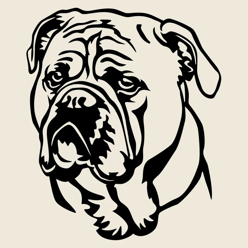 Tête de bouledogue continental