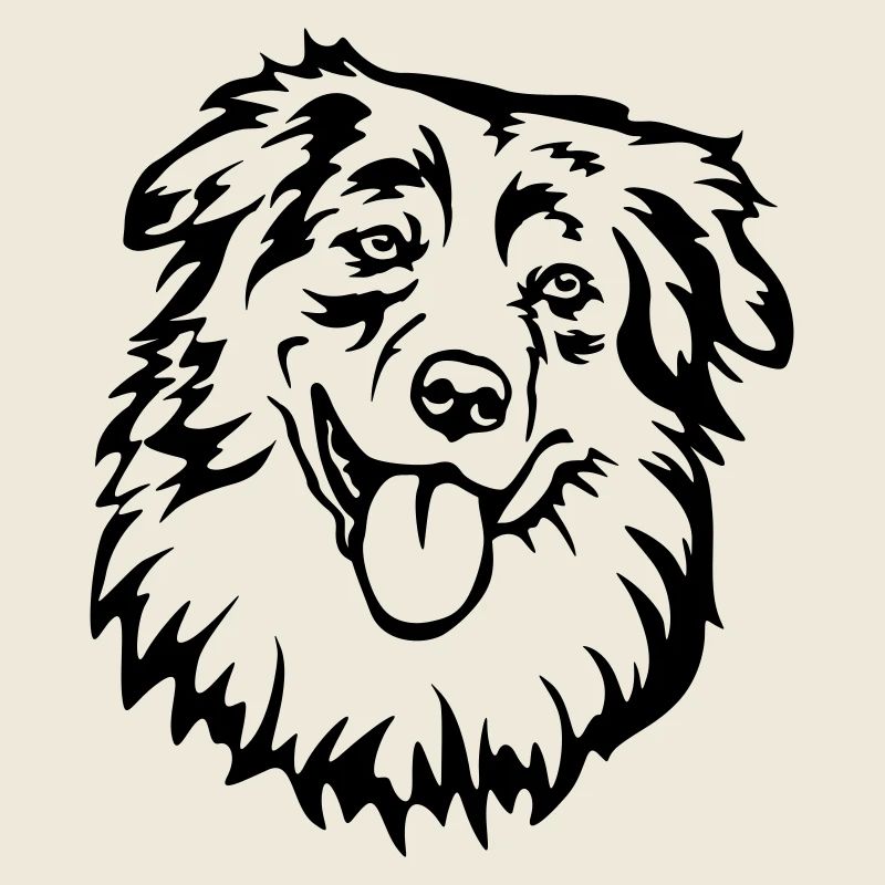 Australian Shepherd Kopf