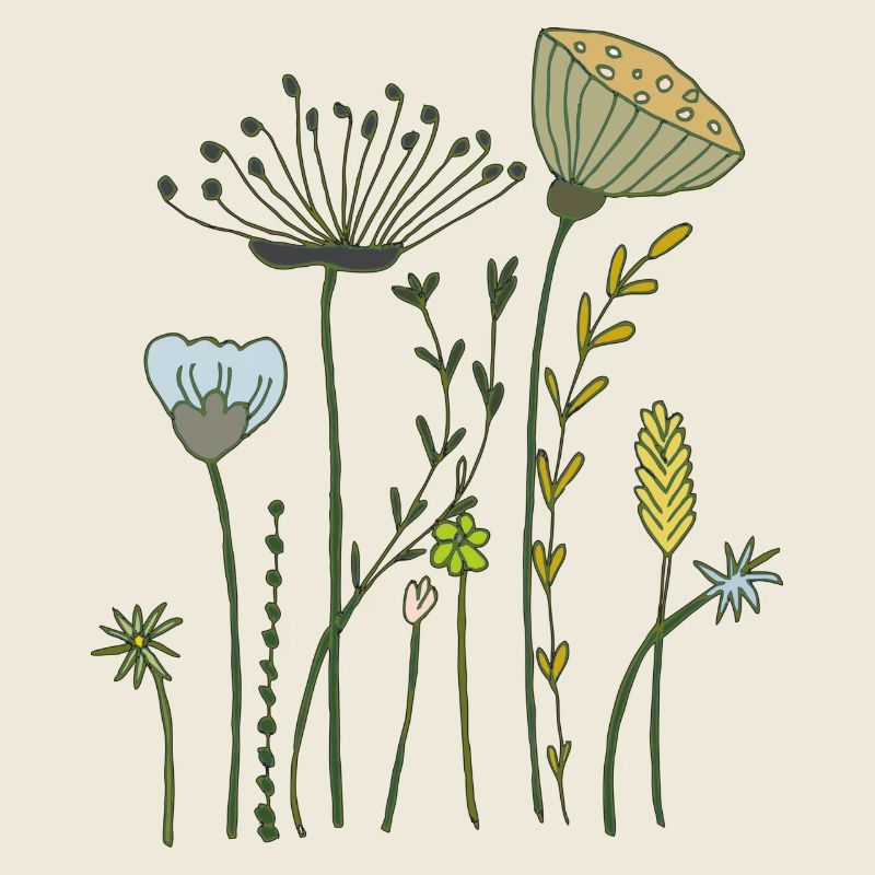 Fleurs séchées