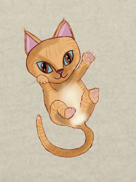 Cute Orange kitten