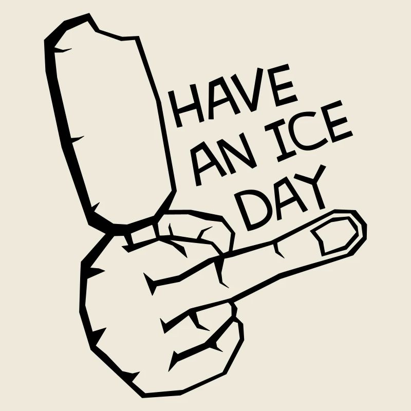 HAV E NICE DAY