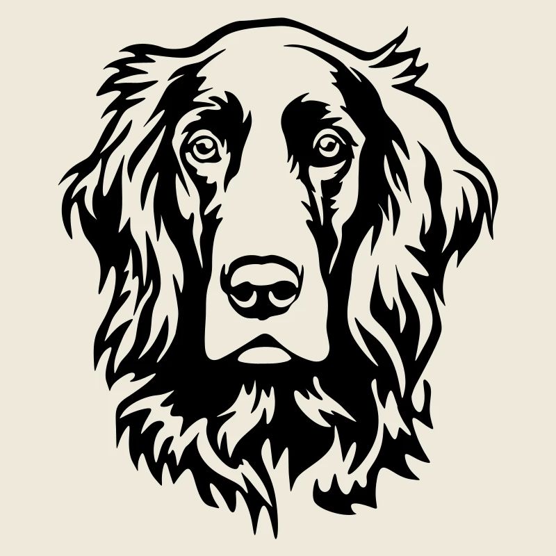 Irish Setter Kopf