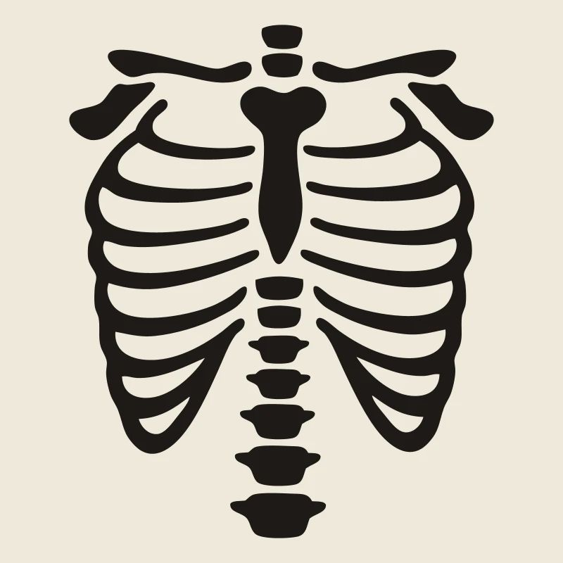 xray_vector