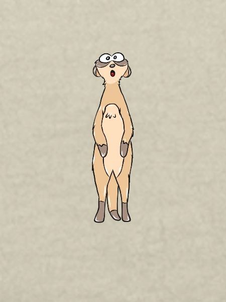 suricates