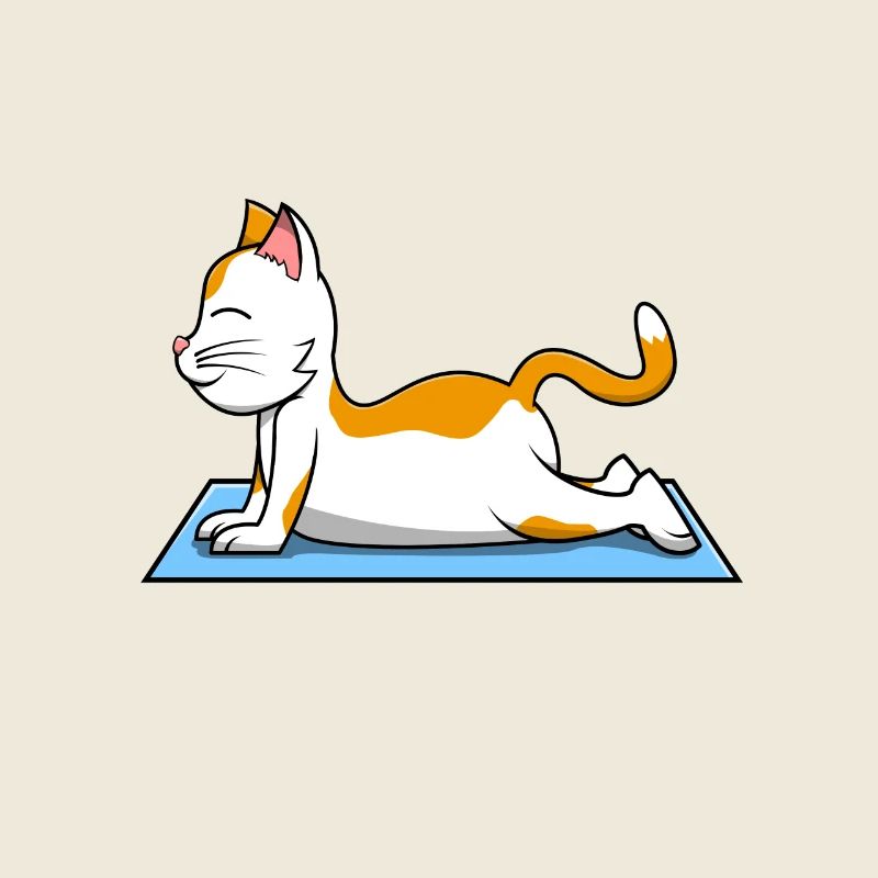 Yoga de chat