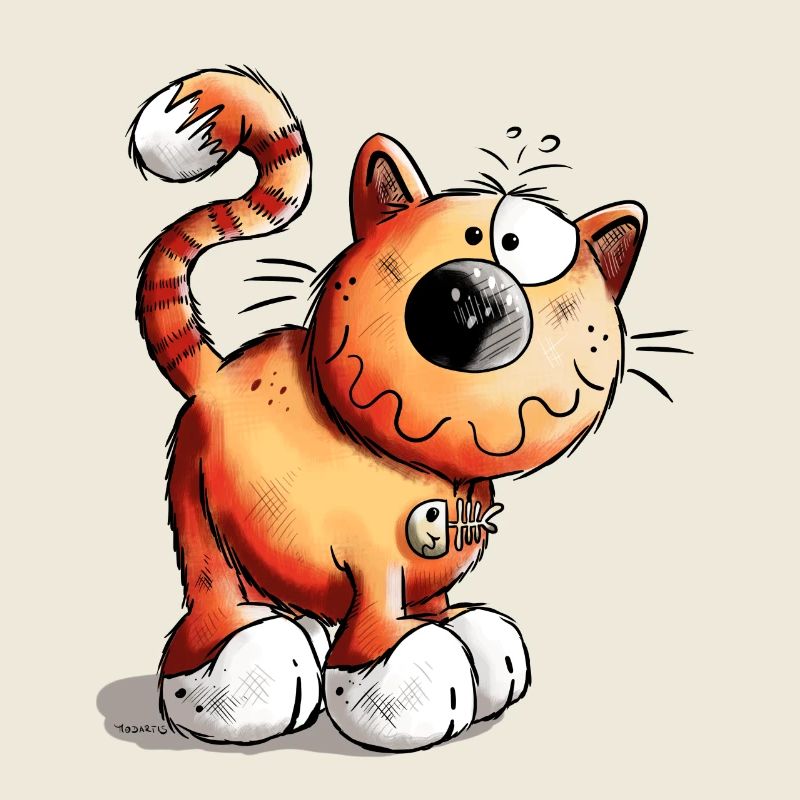 Drôle Chat