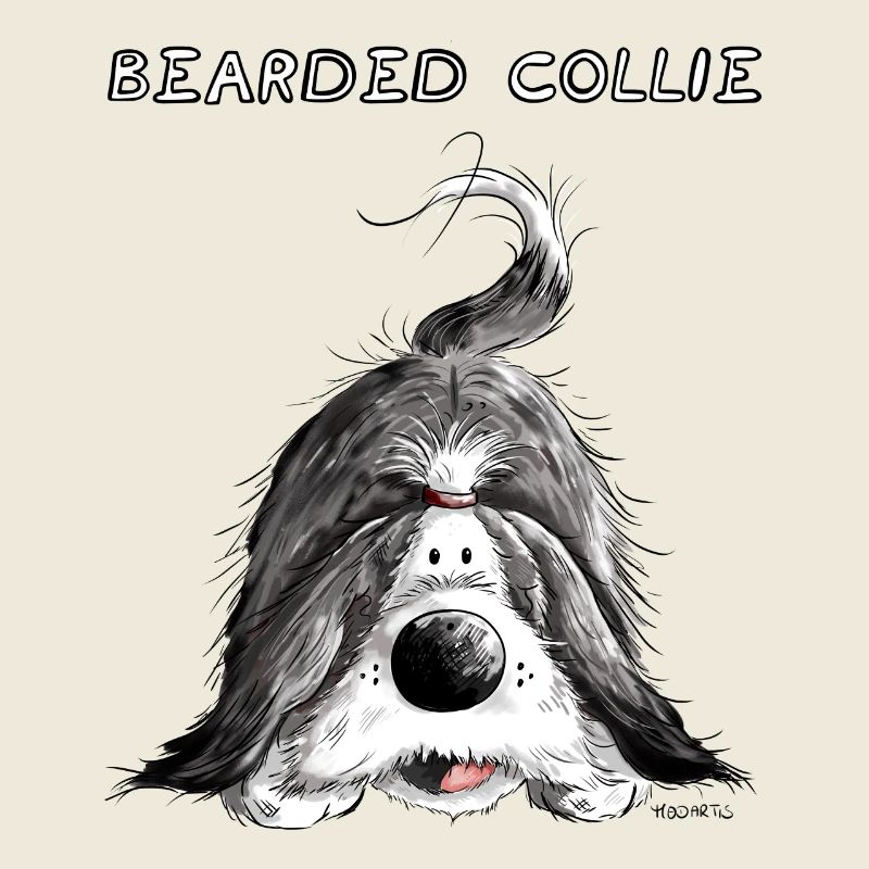 Verspielter Bearded Collie