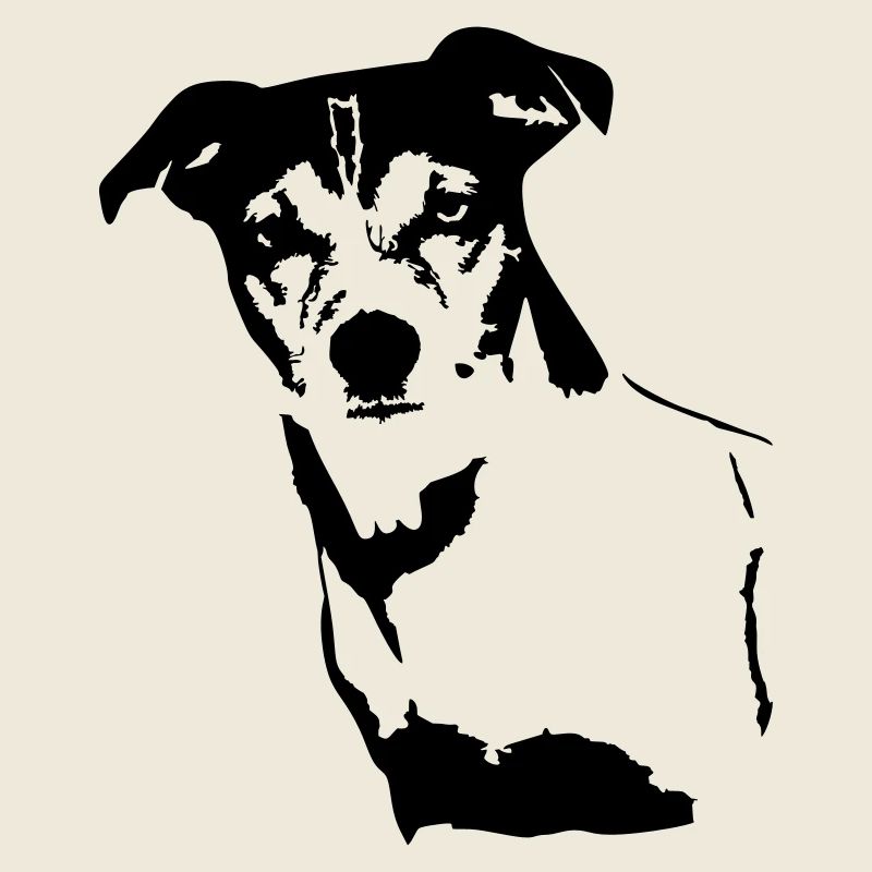 Jack Russell Terrier head