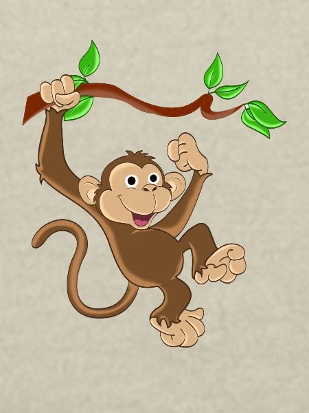 Funny Monkey