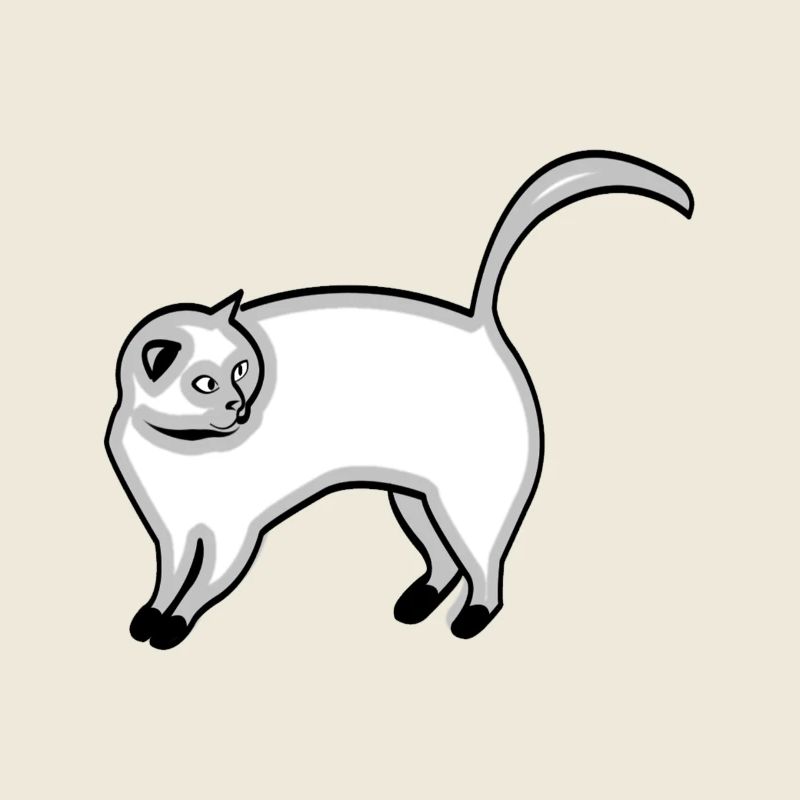 chat