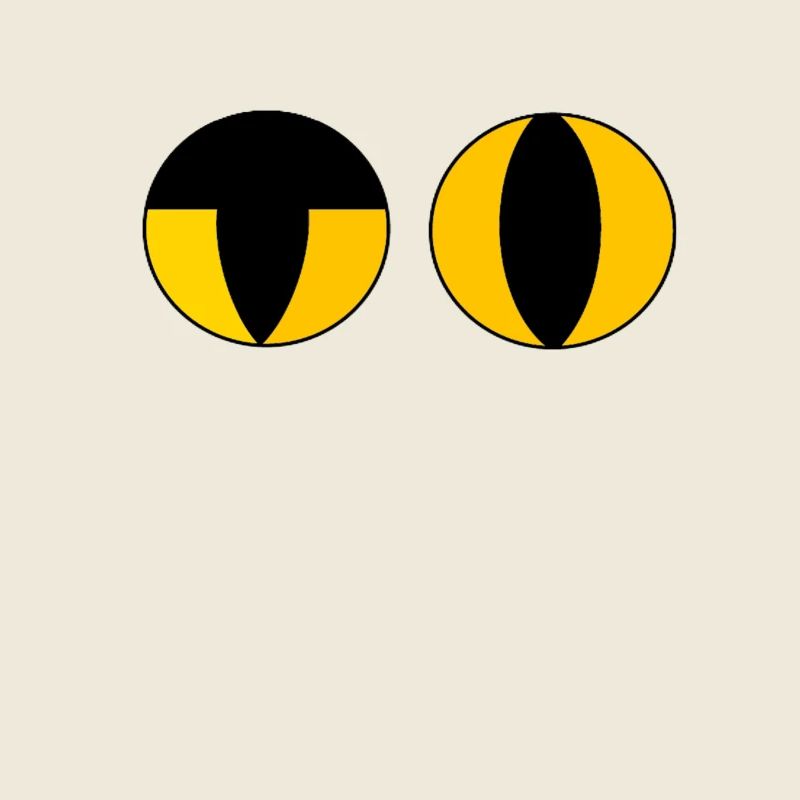Inquiry eyes cool cat look