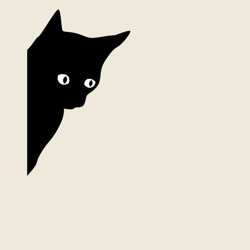 Black cat with shining eyes