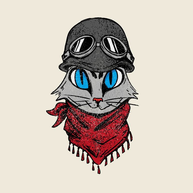 Biker Cat Cats Cat Kitten Pussy Kitten