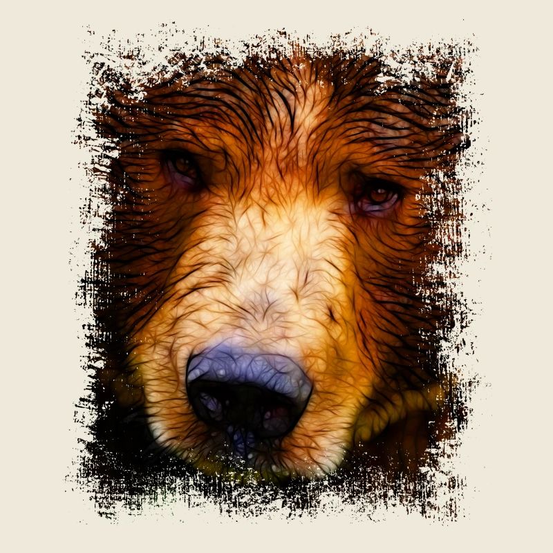 Braunbär