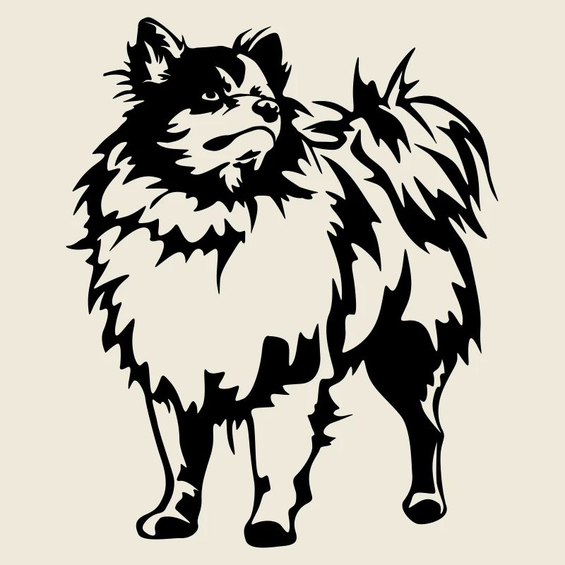 Spitz
