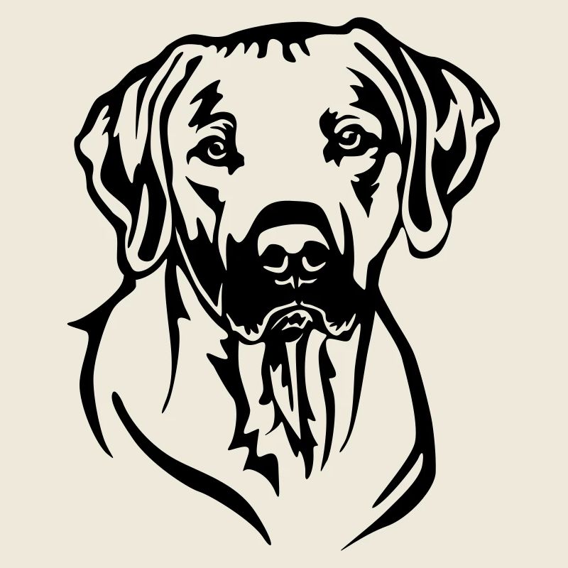 Rhodesian Ridgeback Kopf