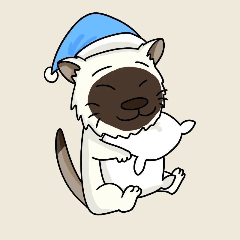 Katze Katzenrasse Birma