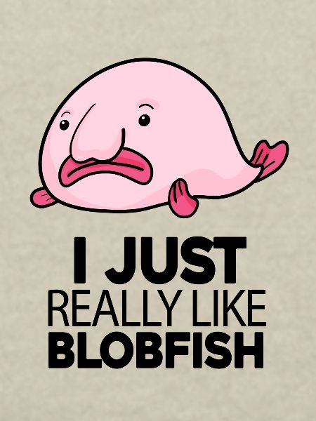 Blobfisch Fisch