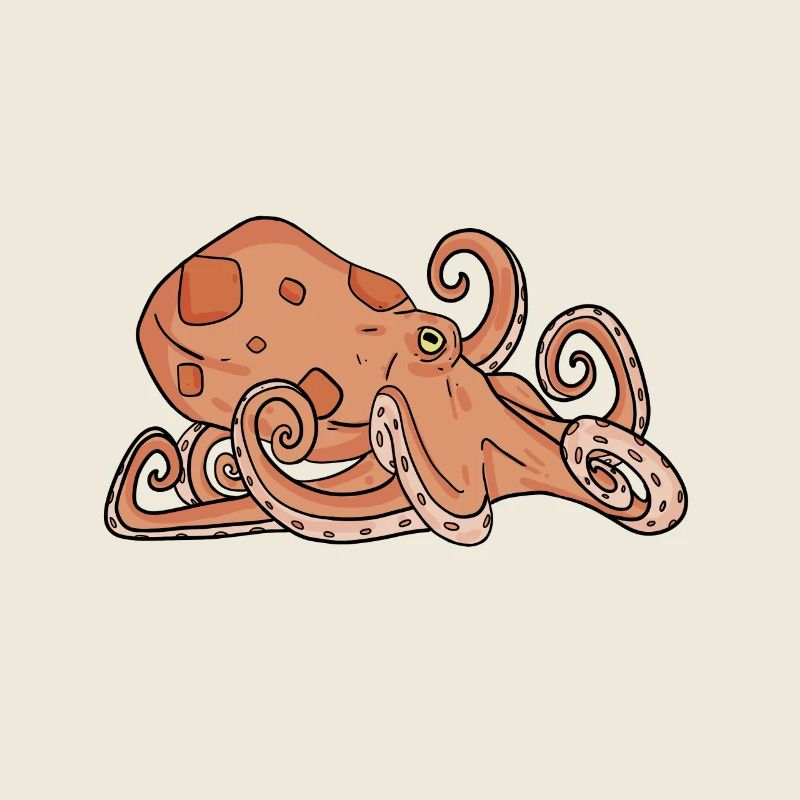 Octopus Octopus