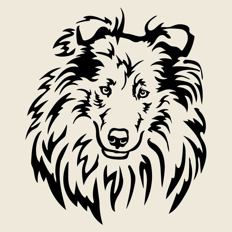 Collie Kopf