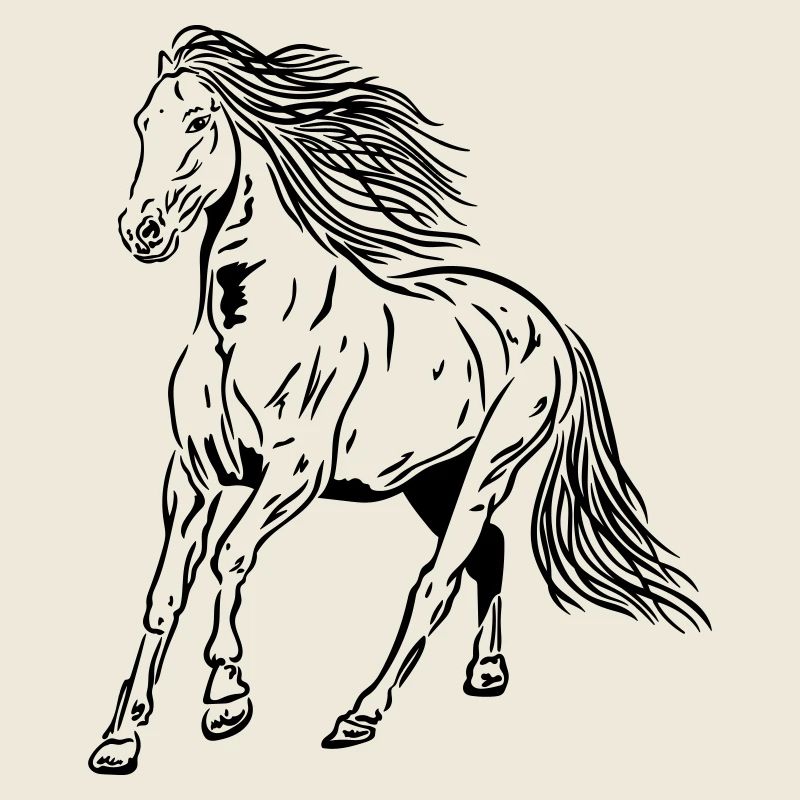 Pferd Hengst