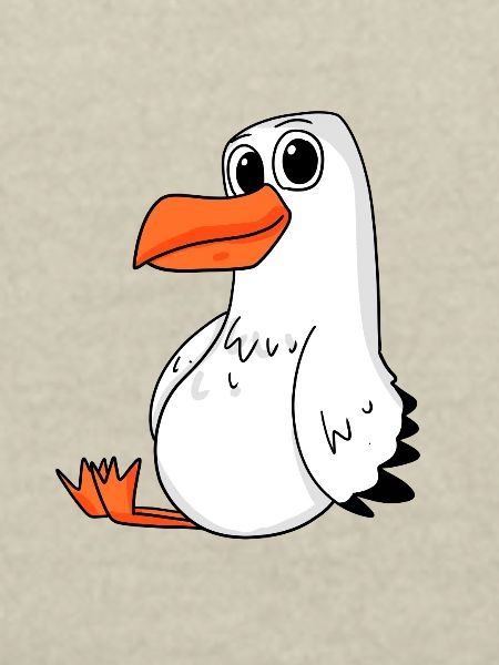 Möwe