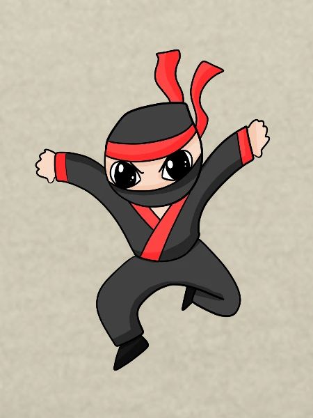 Ninja