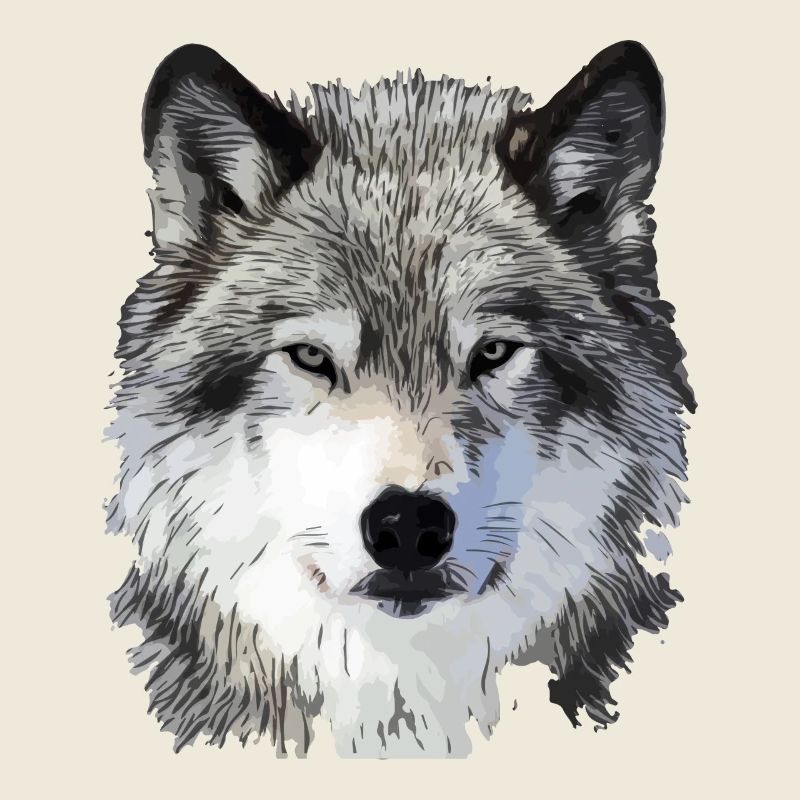 Le Loup