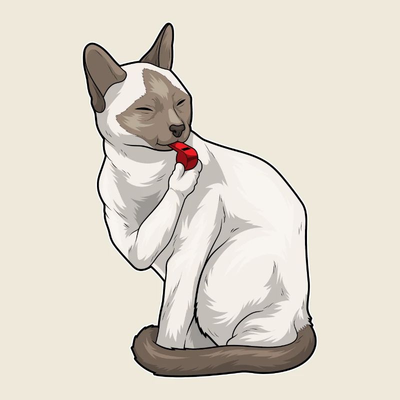 Chat siamois Sifflet d’arbitre