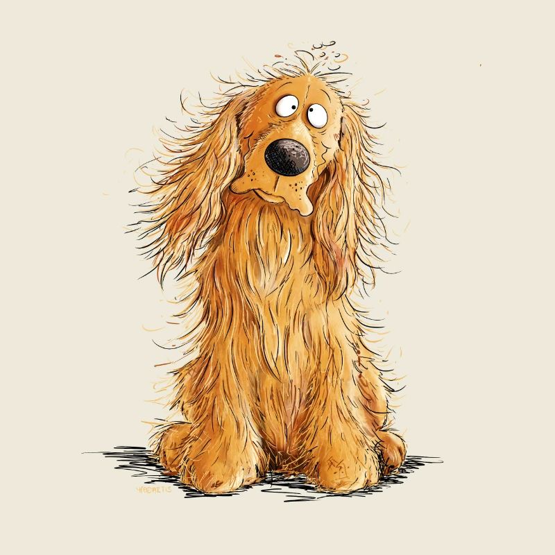 Cocker Spaniel heureux
