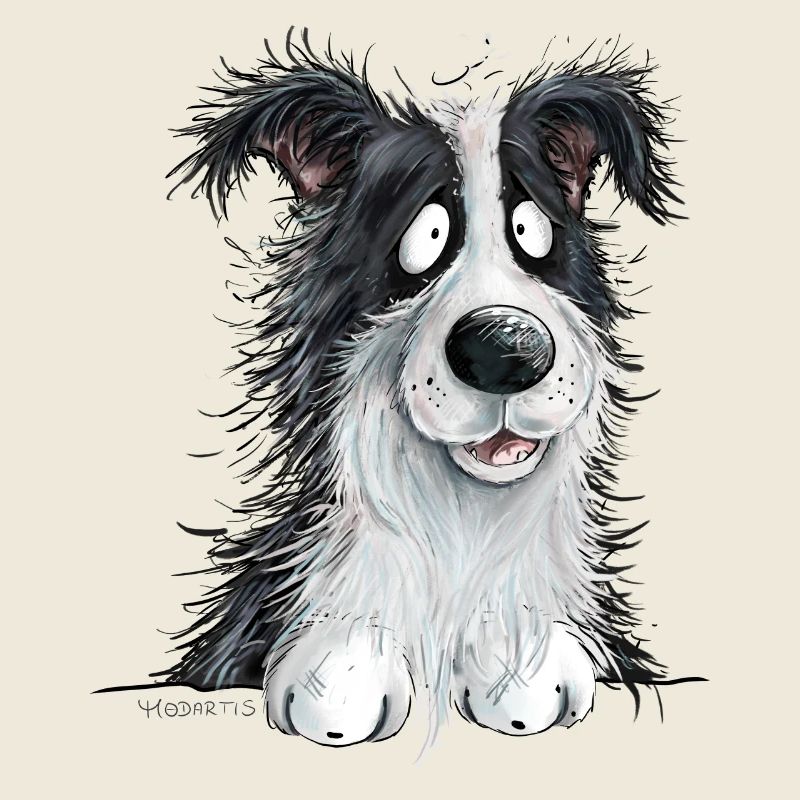 Droll Border Collie Dog Herding Dog Lover