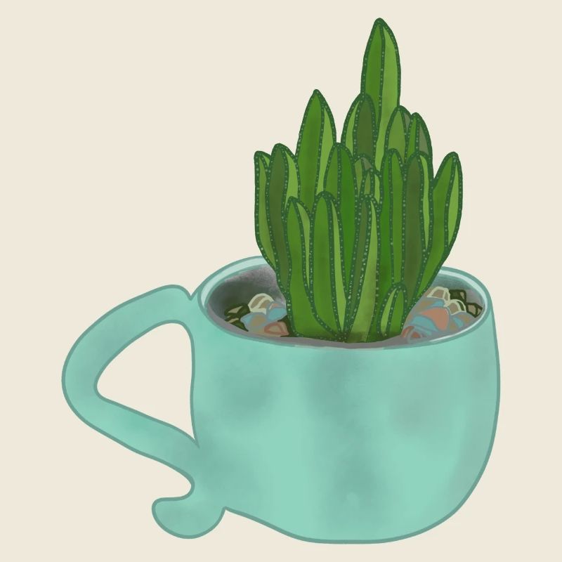 Une tasse avec une plante succulente