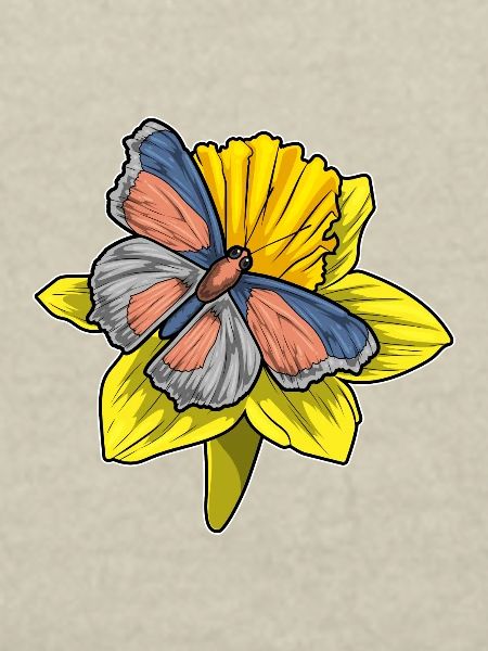 Butterfly Daffodil