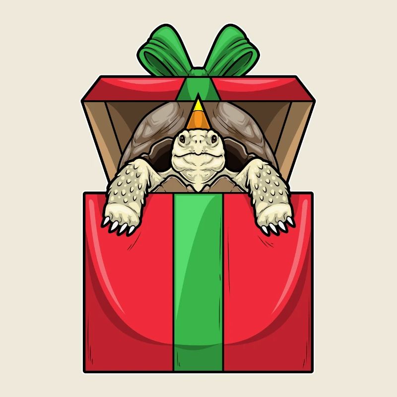 Schildkröte Geburtstag Paket