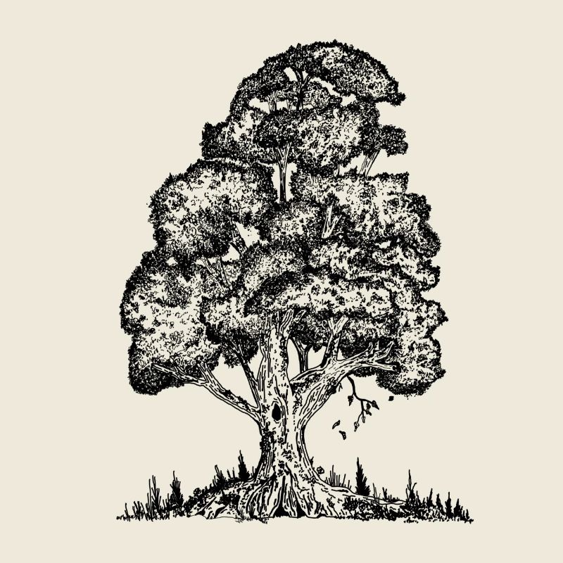 MJR - Schwarzer Baum