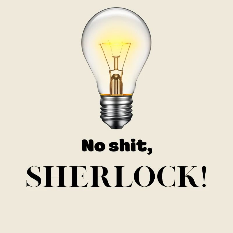 No Shit Sherlock!