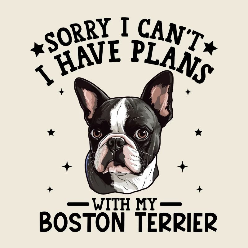 Elegant Boston Terrier Portrait Design